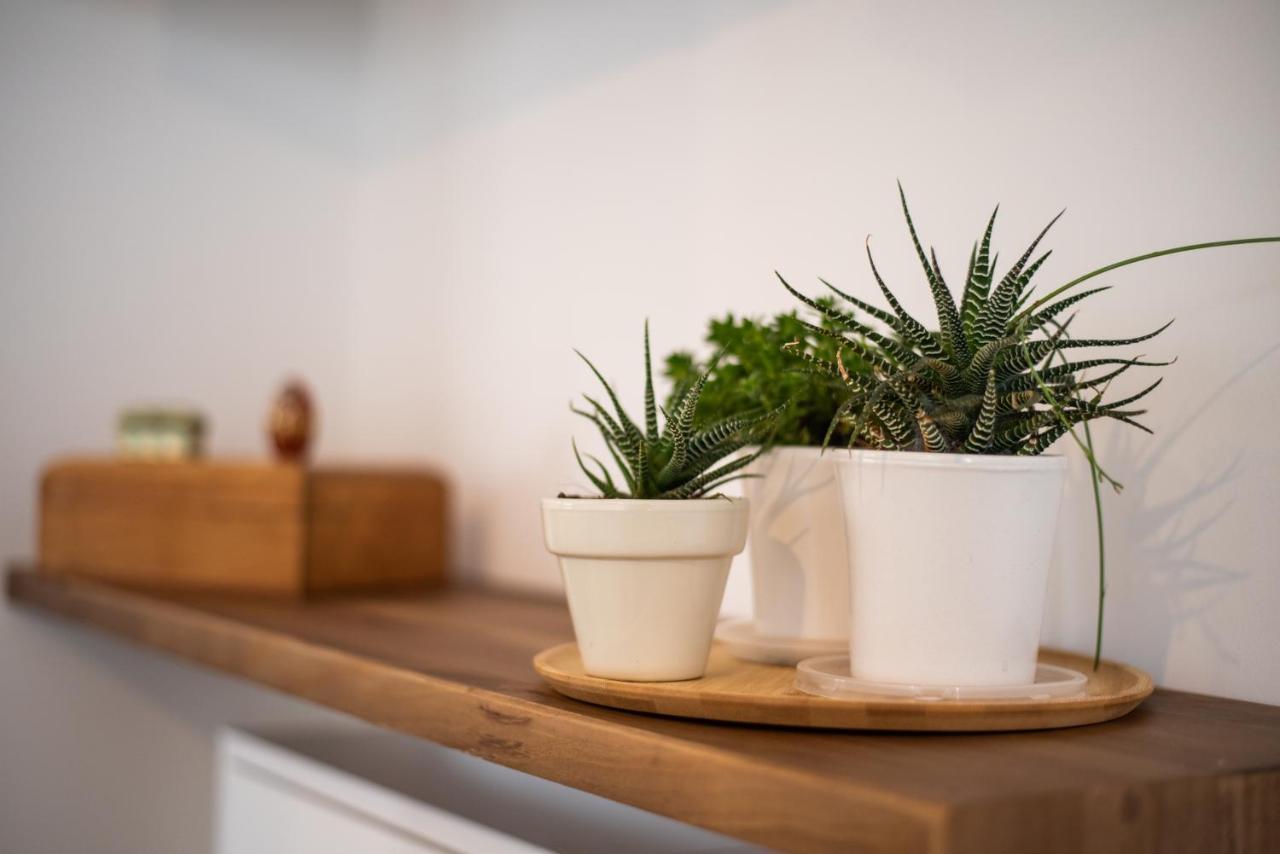Tuguest S. Jeronimo Apartment Granada Dış mekan fotoğraf